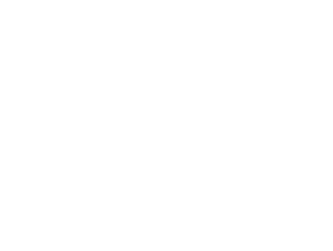 Folium Logo